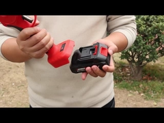 آستون AES20-4 Pruner