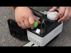 12 اينچ چيني