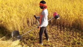 همه در یک برس برش بنزینی و ابزار باغبانی