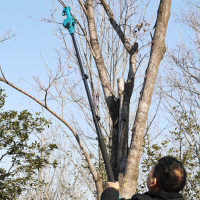 Professional Pruning Shears Electric Pruner Branch Cutter,Brushless 25V Cordless Pruning Shears